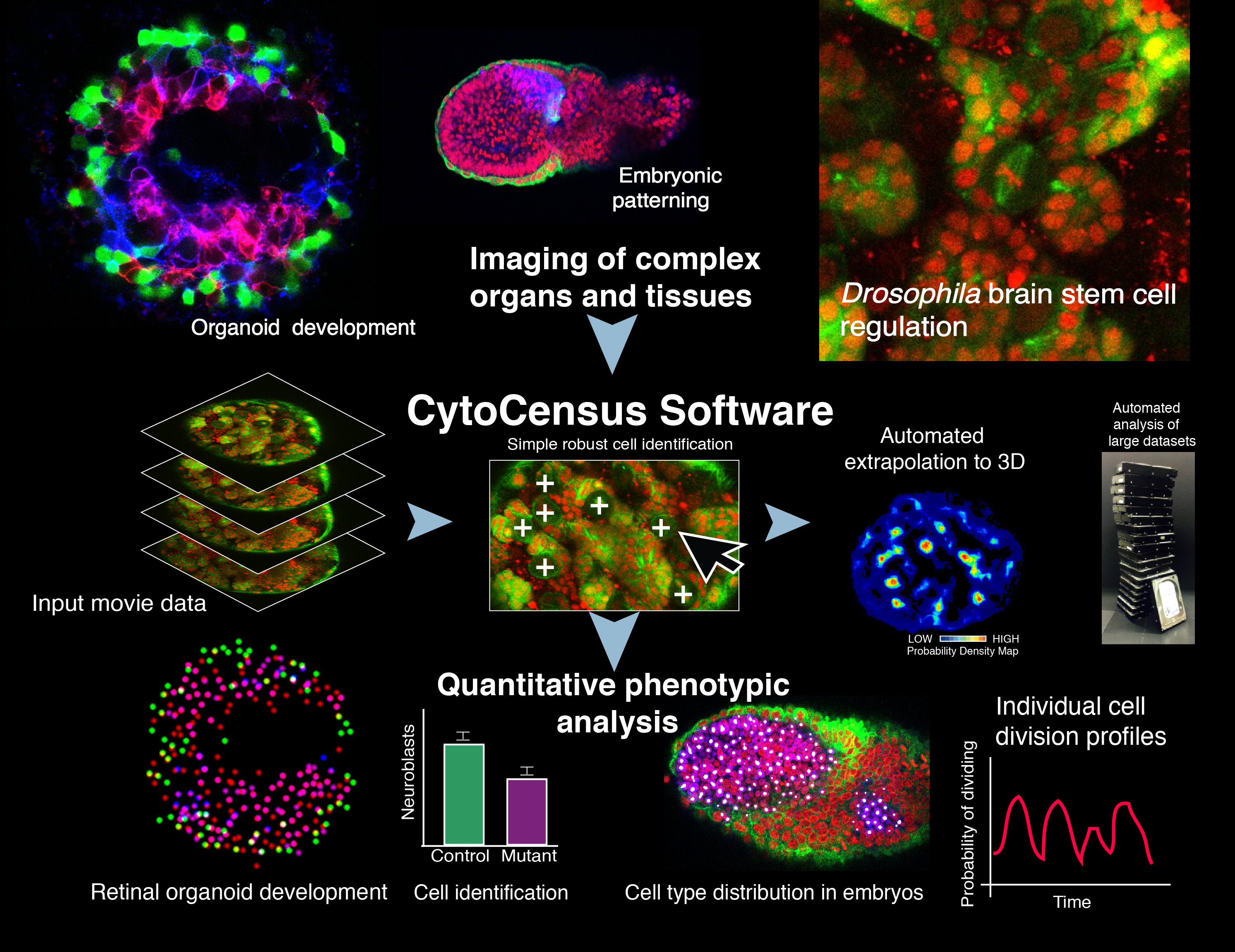 graphicalabstract revised v7001 1 mosaic
